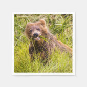 Grizzly cuzing, Alaska Serviette (Vorderseite)