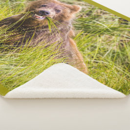 Grizzly cuzing, Alaska Sherpadecke