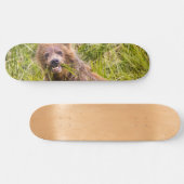 Grizzly cuzing, Alaska Skateboard (Horizontal)