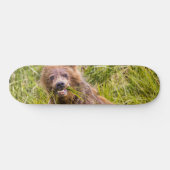 Grizzly cuzing, Alaska Skateboard (Horizontal)