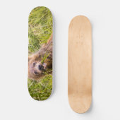 Grizzly cuzing, Alaska Skateboard (Vorderseite)