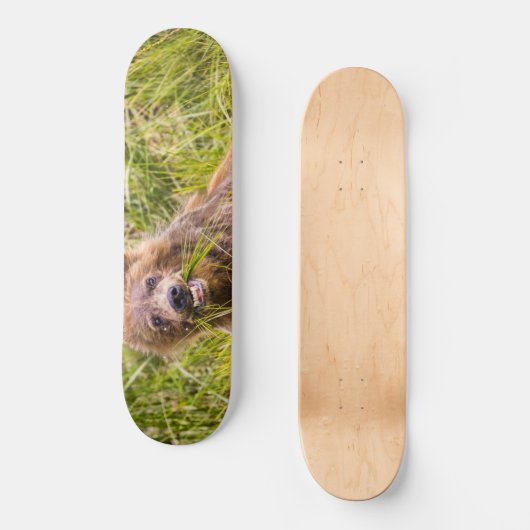 Grizzly cuzing, Alaska Skateboard (Vorderseite)