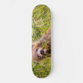Grizzly cuzing, Alaska Skateboard (Vorderseite)