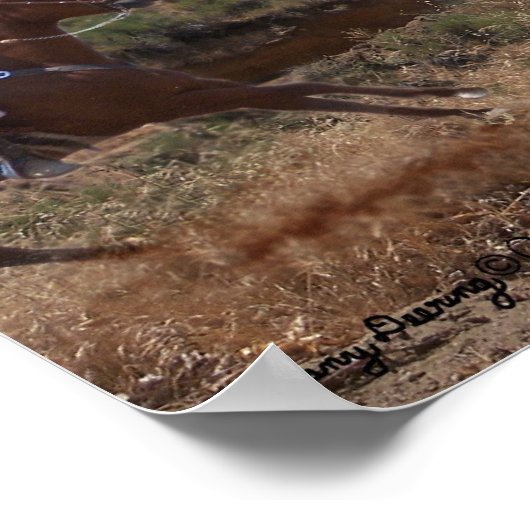 Grizzly Fun Poster (Ecke)