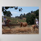 Grizzly Fun Poster (Vorne)