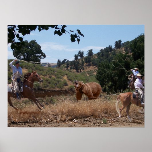 Grizzly Fun Poster (Vorne)