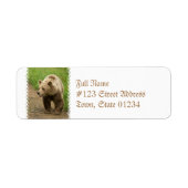 Grizzly Mailing Labels (Vorne)