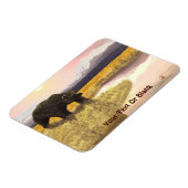 Grizzly Pond Magnet (Linke Seite)