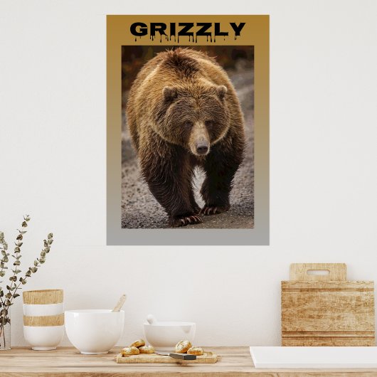Grizzly Poster (Küche)