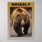 Grizzly Poster (Vorne)