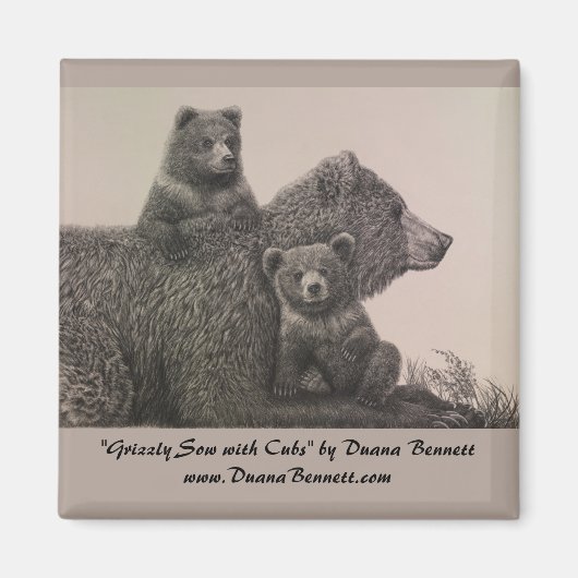 "Grizzly Sow with Cubs" zeichnend auf einem Magnet (Vorne)
