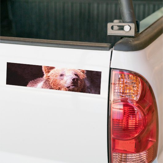 Grizzlybär Autoaufkleber (Auf Lkw)