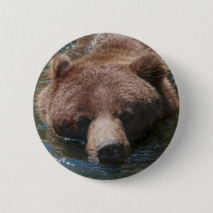 Grizzlybär Button