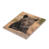 Grizzlybär CUB Fliese (Seite)