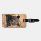 Grizzlybär CUB Gepäckanhänger (Vorderseite horizontal)