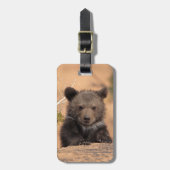 Grizzlybär CUB Gepäckanhänger (Vorderseite vertikal)