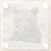 Grizzlybär CUB Glasuntersetzer (Rückseite)