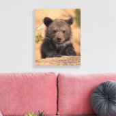 Grizzlybär Cub Leinwanddruck (Insitu (Wohnzimmer))