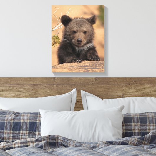 Grizzlybär Cub Leinwanddruck (Insitu (Schlafzimmer))