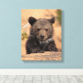 Grizzlybär Cub Leinwanddruck (Insitu (Holzboden))
