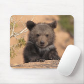 Grizzlybär CUB Mousepad (Mit Mouse)