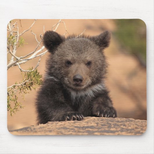 Grizzlybär CUB Mousepad (Vorne)