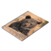 Grizzlybär CUB Notizblock (Linke Seite)