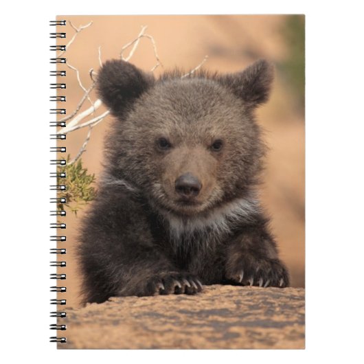 Grizzlybär CUB Notizblock (Vorderseite)