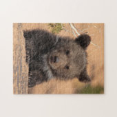 Grizzlybär CUB Puzzle (Horizontal)