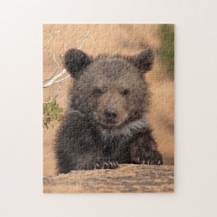Grizzlybär CUB Puzzle