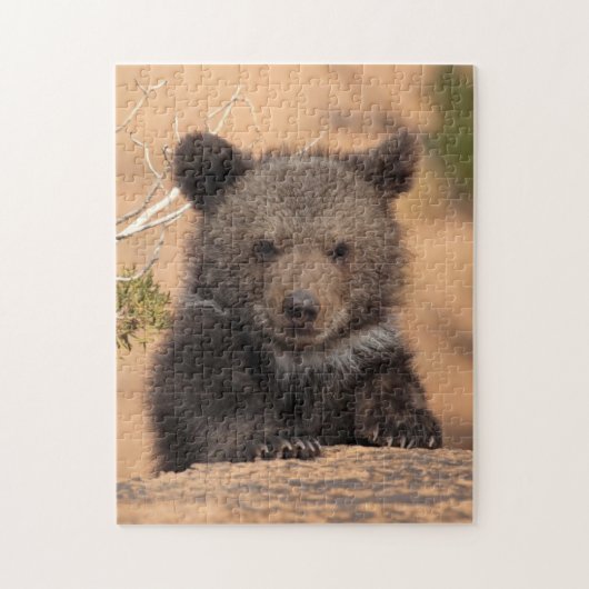 Grizzlybär CUB Puzzle (Vertikal)