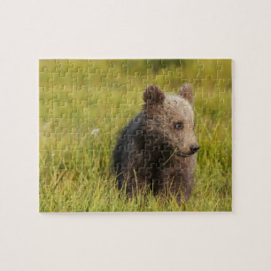 Grizzlybär CUB Puzzle