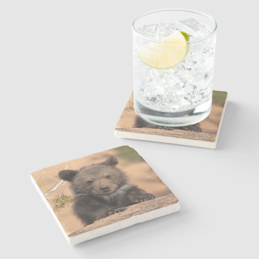 Grizzlybär CUB Steinuntersetzer (Seitenansicht)