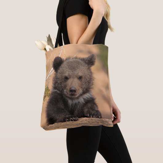 Grizzlybär CUB Tasche (Von Nahem)