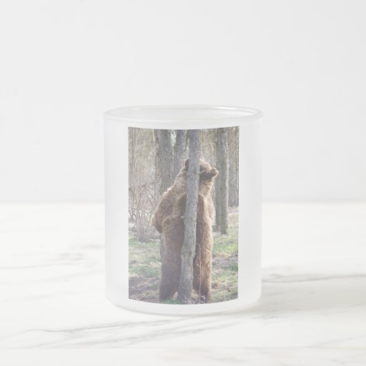 Grizzlybär, der ein Jucken verkratzt Mattglastasse (Mittel)