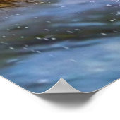 Grizzlybär, der Steelhead-Lachs fängt Poster (Ecke)