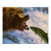 Grizzlybär, der Steelhead-Lachs fängt