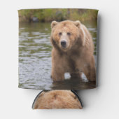 Grizzlybär Dosenkühler (Vorderseite)