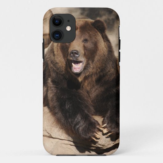 Grizzlybär-Eber Case-Mate iPhone Hülle (Rückseite)