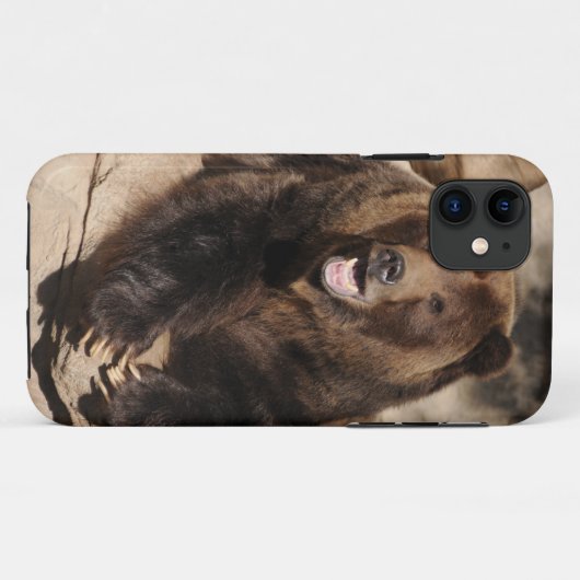 Grizzlybär-Eber Case-Mate iPhone Hülle (Rückseite (Horizontal))