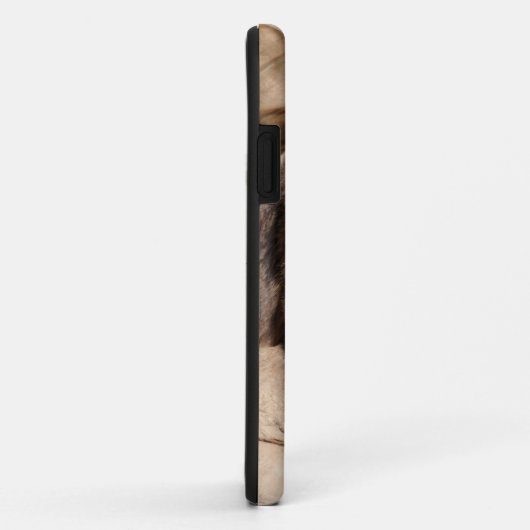 Grizzlybär-Eber Case-Mate iPhone Hülle (Hinten/Rechts)