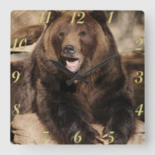 Grizzlybär-Eber Quadratische Wanduhr