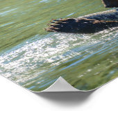 Grizzlybär Ein Lachs gefangen Poster (Ecke)