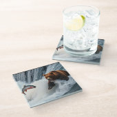 Grizzlybär fängt Lachs Glasuntersetzer (Schrägansicht)