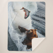 Grizzlybär fängt Lachs Sherpadecke (Vorderseite)