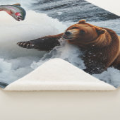 Grizzlybär fängt Lachs Sherpadecke (3/4)