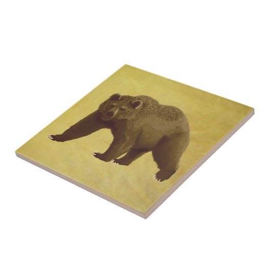 Grizzlybär Fliese (Seite)