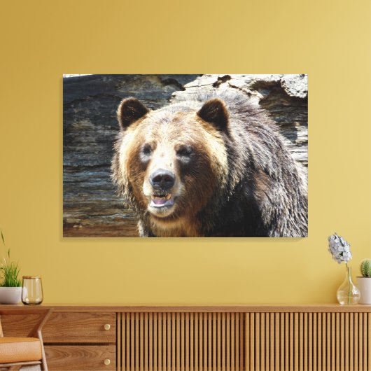 Grizzlybär gepackte Leinwand (Insitu (Wohnzimmer))