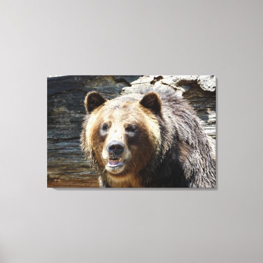 Grizzlybär gepackte Leinwand (Vorderseite)