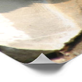 Grizzlybär großes Poster 2 (Ecke)